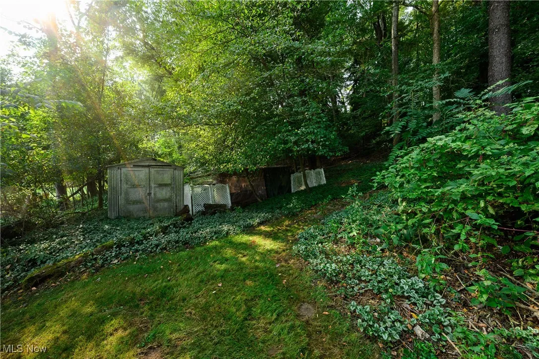 View of yard with a storage unit