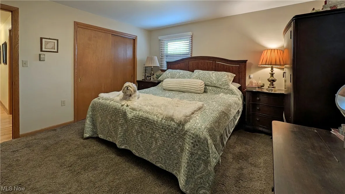 Primary suite (puppy not included)