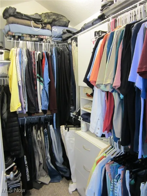 Spacious closet featuring light carpet