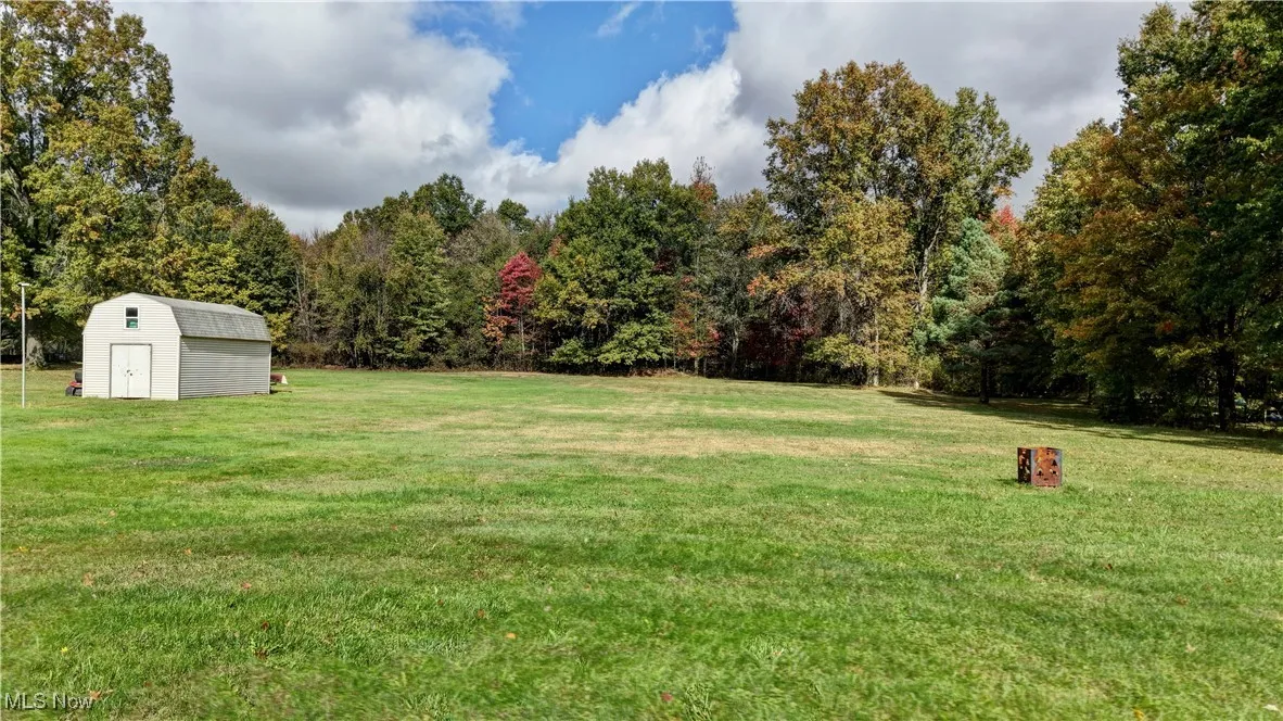 View of green lawn with a storage shed and a view of trees