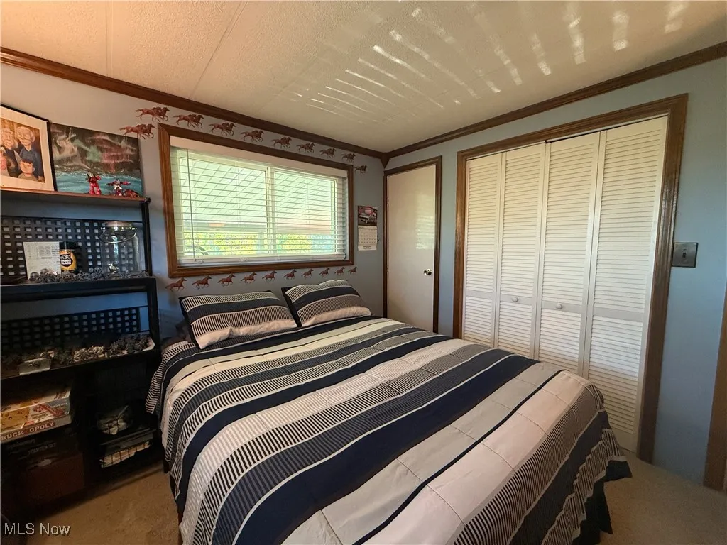 Carpeted bedroom with crown molding and a closet