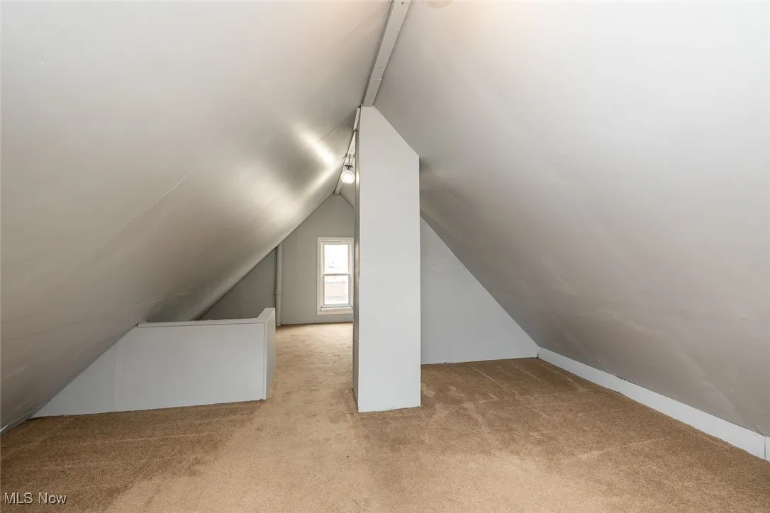 Additional living space featuring light colored carpet and vaulted ceiling