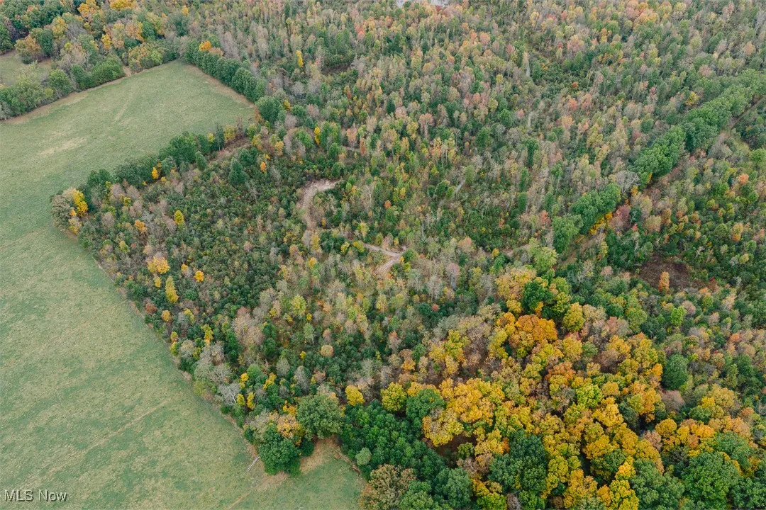 View of property location with a forest