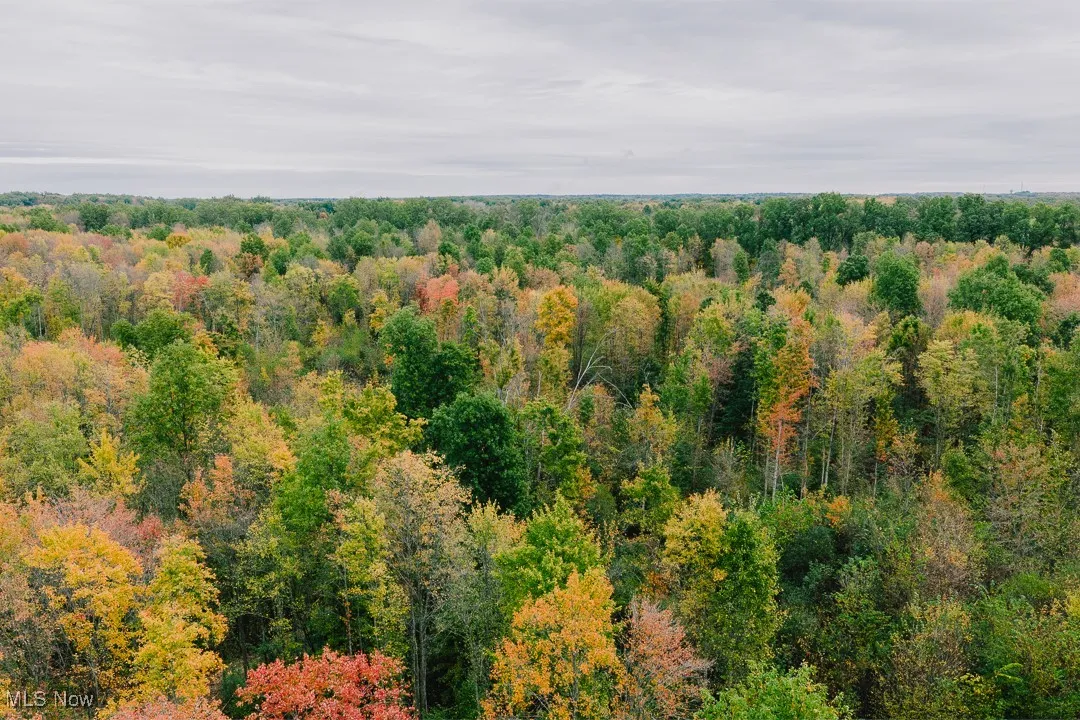 Bird's eye view of a heavily wooded area