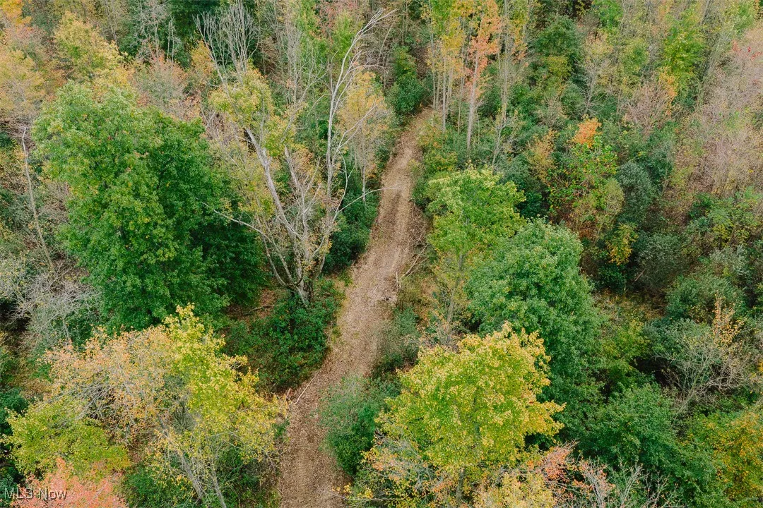 Bird's eye view of a heavily wooded area