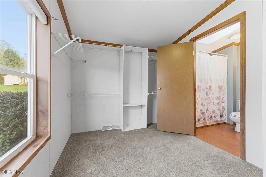 Spacious closet with light colored carpet