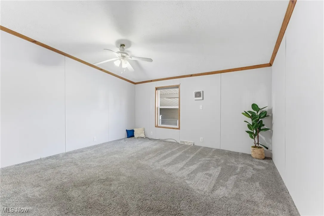 Unfurnished room with crown molding, carpet, and a ceiling fan