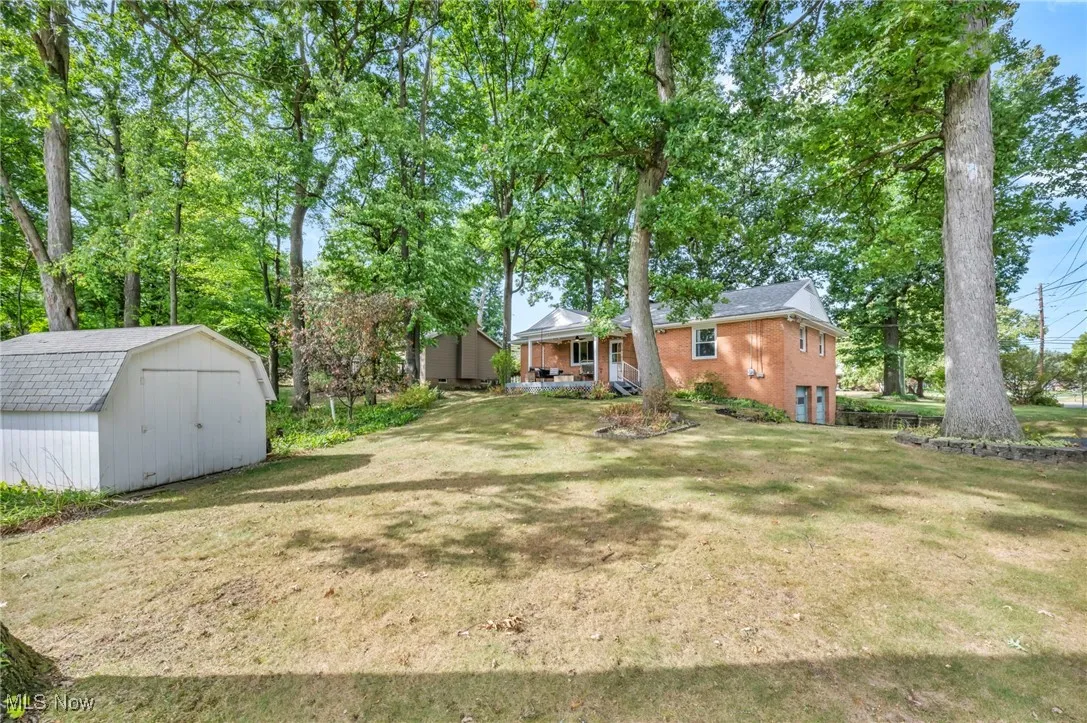 View of grassy yard with a storage unit