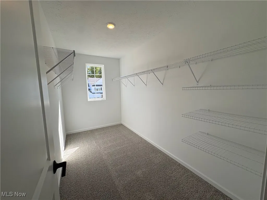 Spacious closet featuring carpet