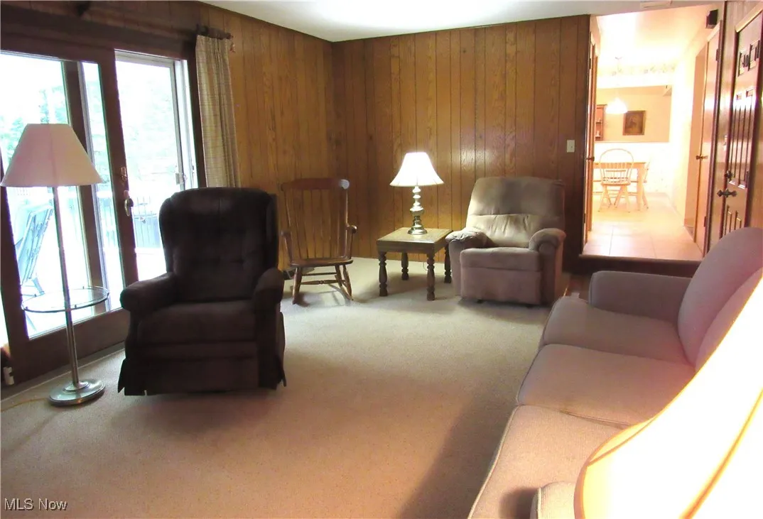 Living room with wooden walls and carpet