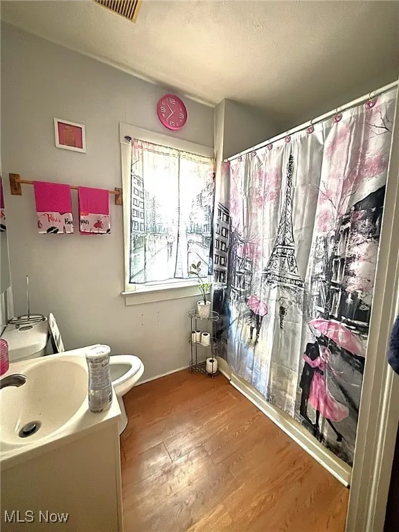 Full bath featuring wood finished floors, a shower with shower curtain, and vanity