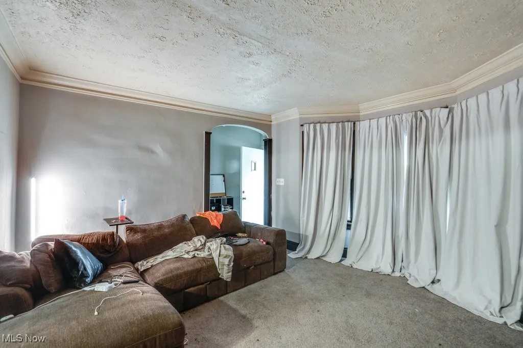 Living area featuring arched walkways, ornamental molding, carpet flooring, and a textured ceiling