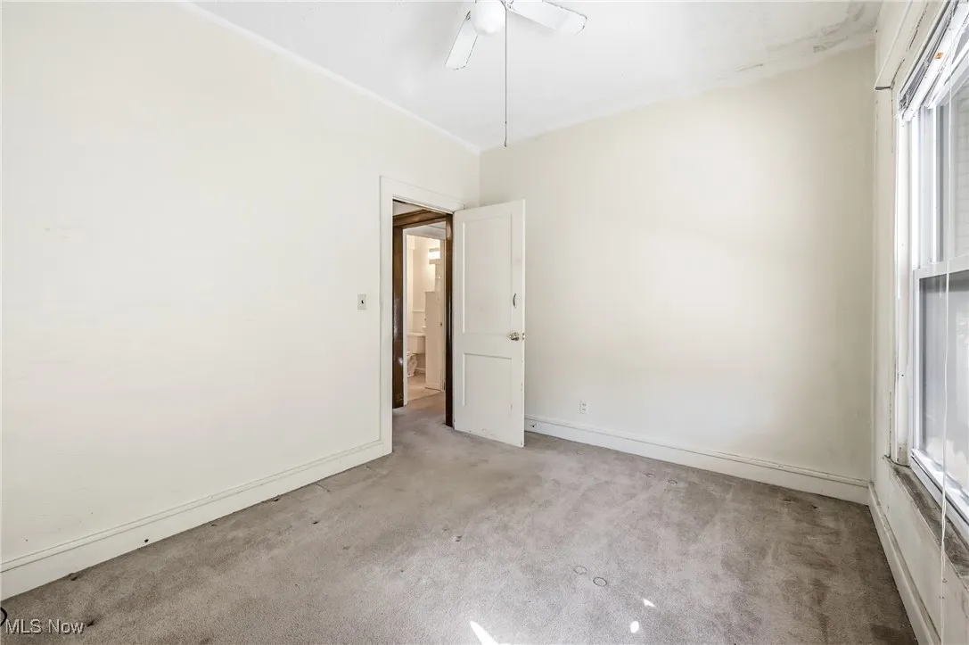 Carpeted spare room featuring plenty of natural light and a ceiling fan