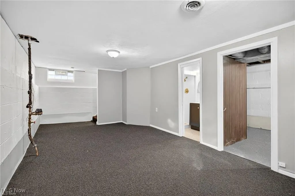 Basement with concrete block wall and dark carpet
