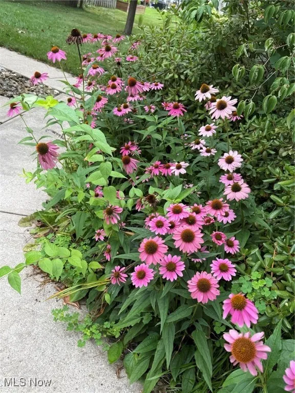 8746 Barton Drive, Strongsville, Ohio 44149,MLS Now Listing ID