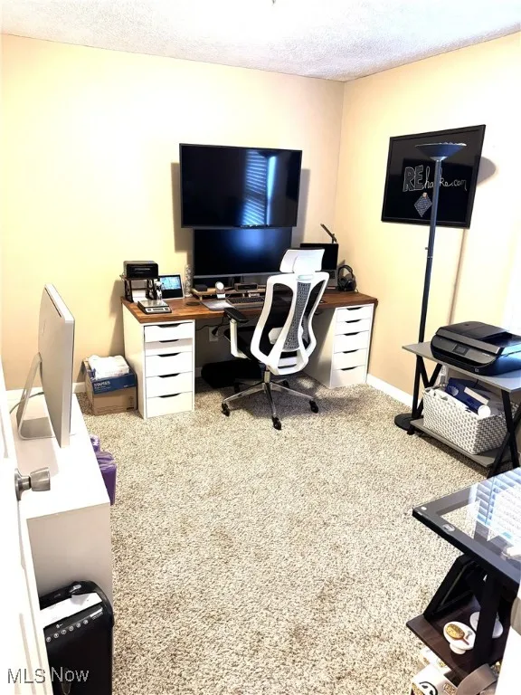 Home office featuring light colored carpet and a textured ceiling