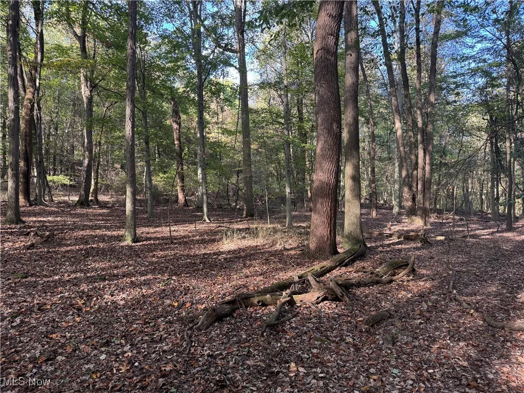 Nw Dundee Strasburg Road, Strasburg, Ohio 44680,MLS Now Listing ID