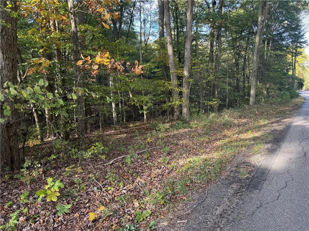 Nw Dundee Strasburg Road, Strasburg, Ohio 44680,MLS Now Listing ID