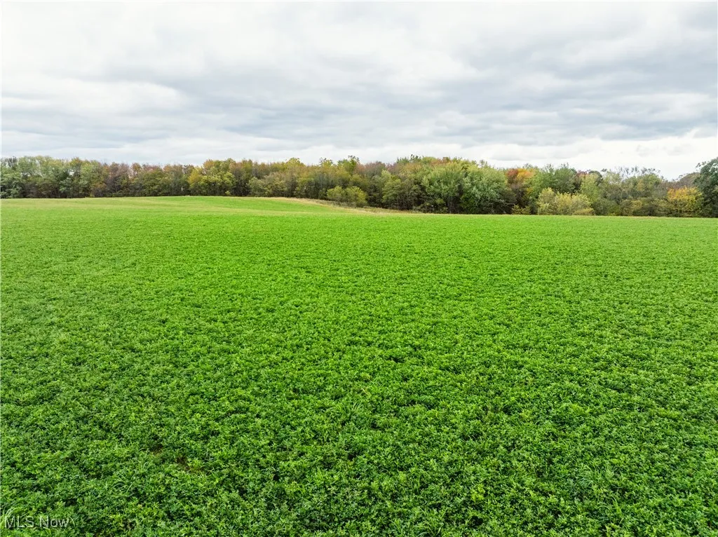 Nw Dundee Strasburg Road, Strasburg, Ohio 44680,MLS Now Listing ID