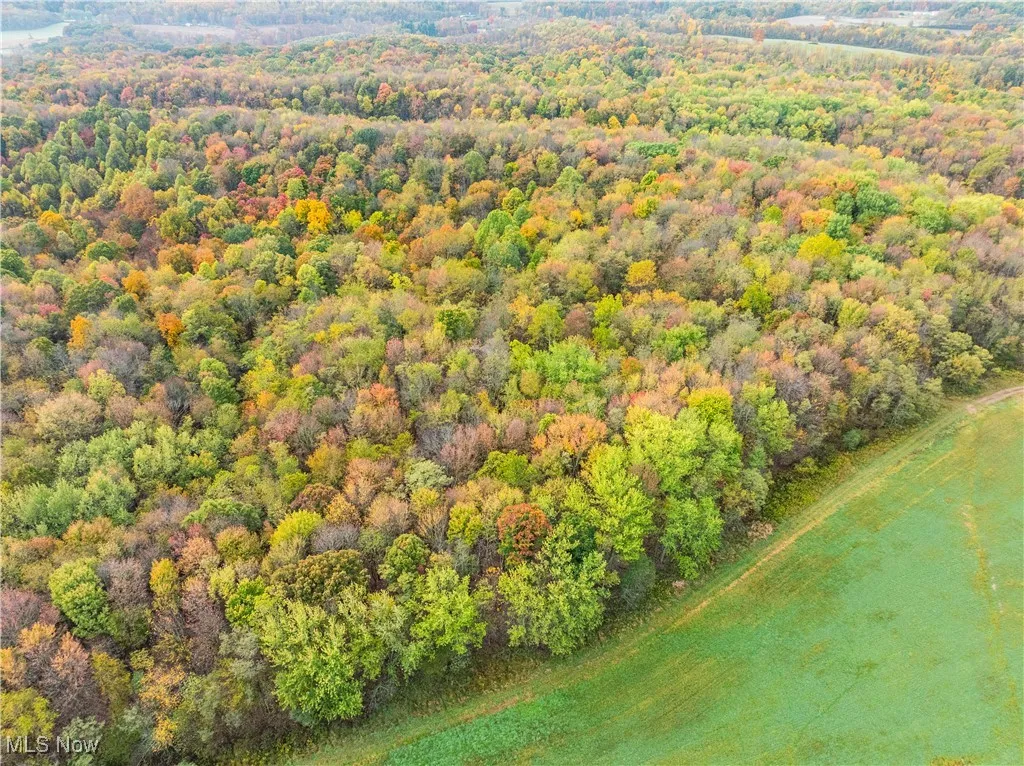 Nw Dundee Strasburg Road, Strasburg, Ohio 44680,MLS Now Listing ID