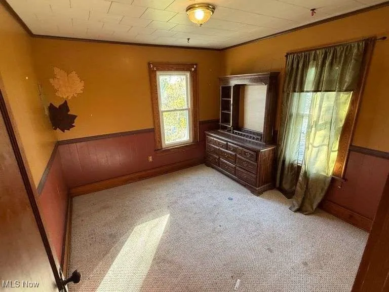 Unfurnished bedroom with wainscoting, wooden walls, light colored carpet, and ornamental molding