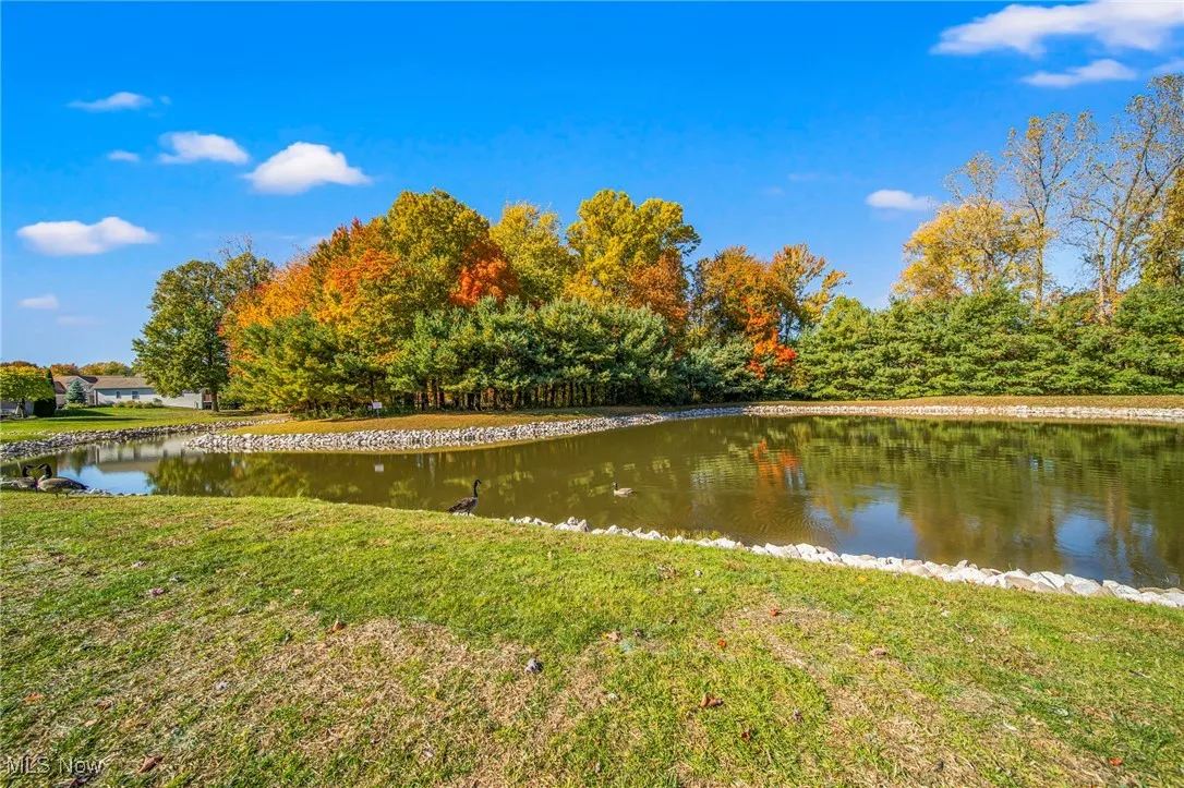Beautiful view of neighborhood pond