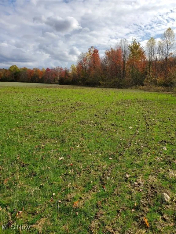 12882 Huntoon Road, Painesville, Ohio 44077,MLS Now Listing ID