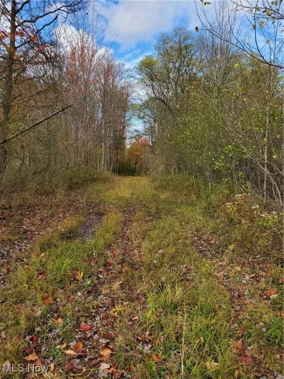 12882 Huntoon Road, Painesville, Ohio 44077,MLS Now Listing ID