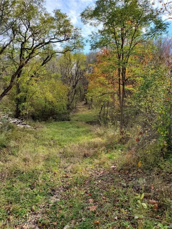 12882 Huntoon Road, Painesville, Ohio 44077,MLS Now Listing ID