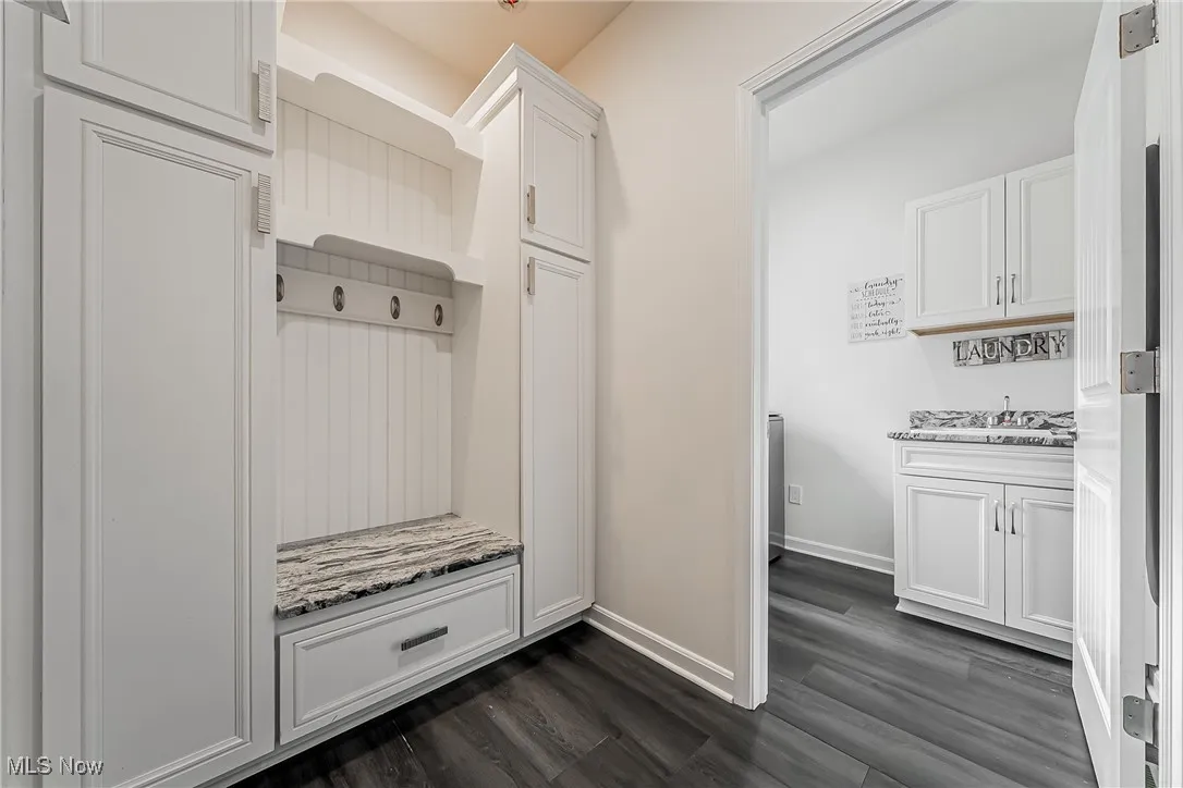 Mudroom featuring dark wood-style flooring, built in cabinetry, bench w/storage and coat hooks