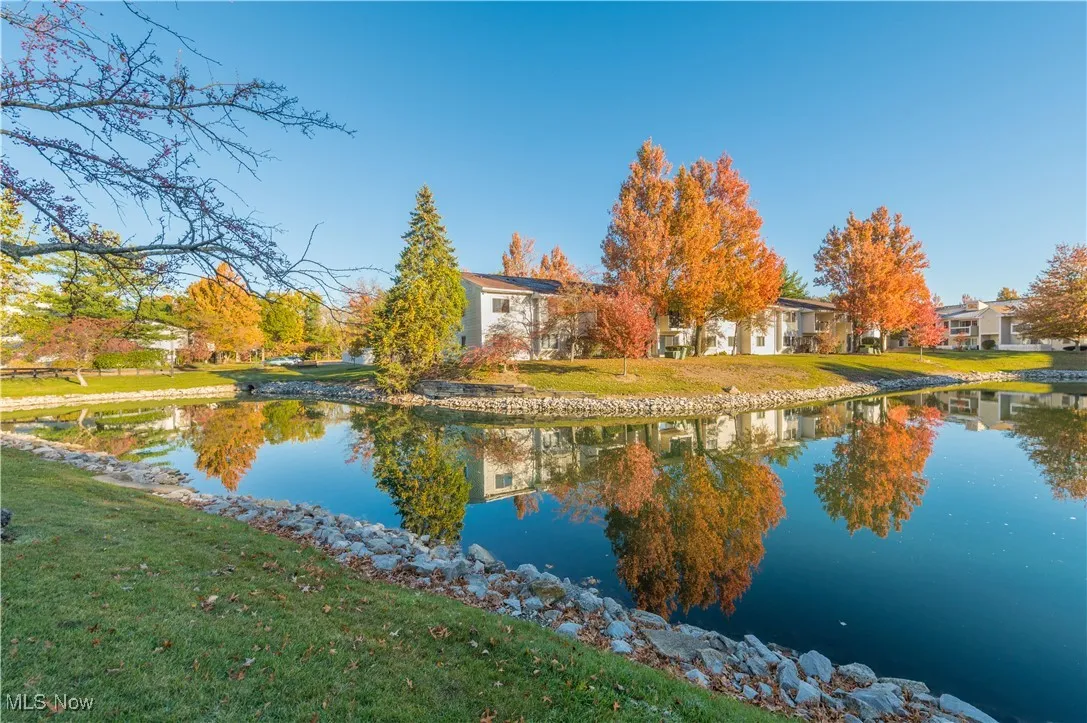 Bay Landing Pond Area