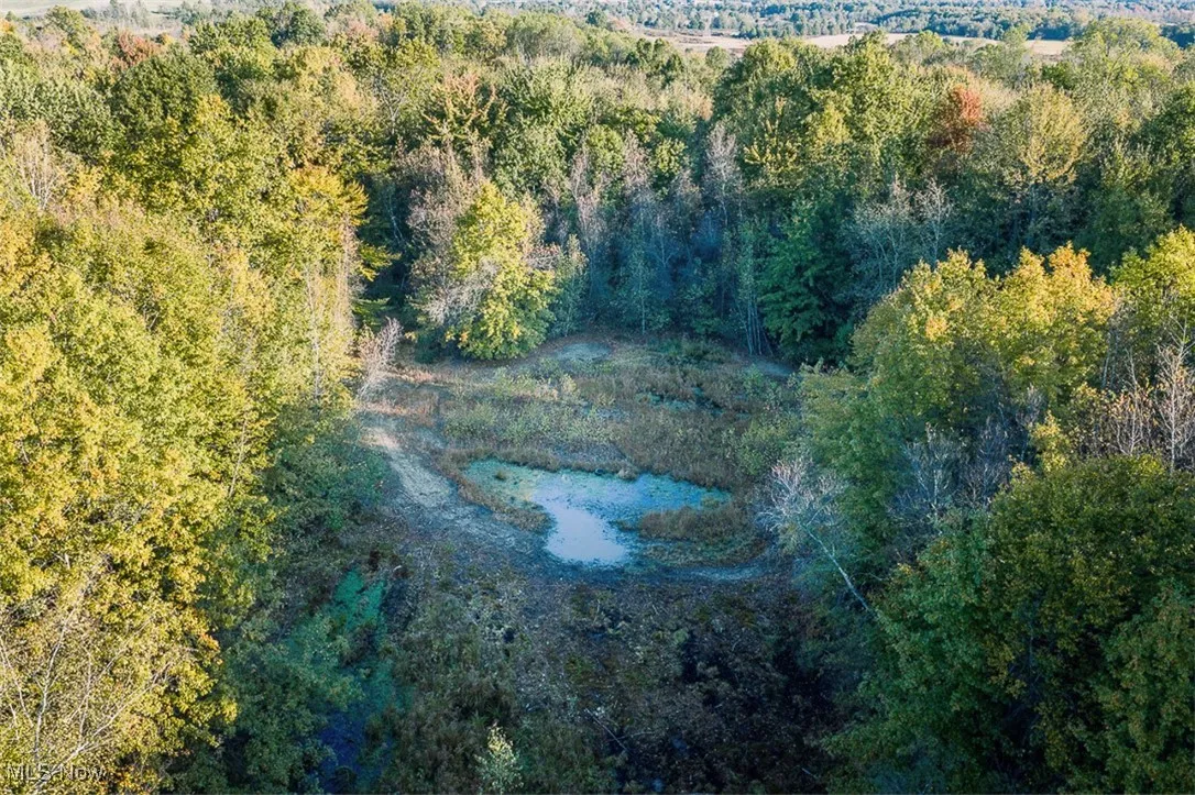 Bird's eye view of a heavily wooded area
