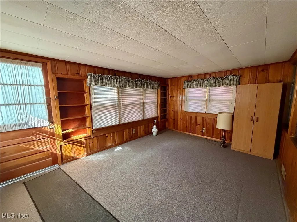Carpeted empty room with wooden walls