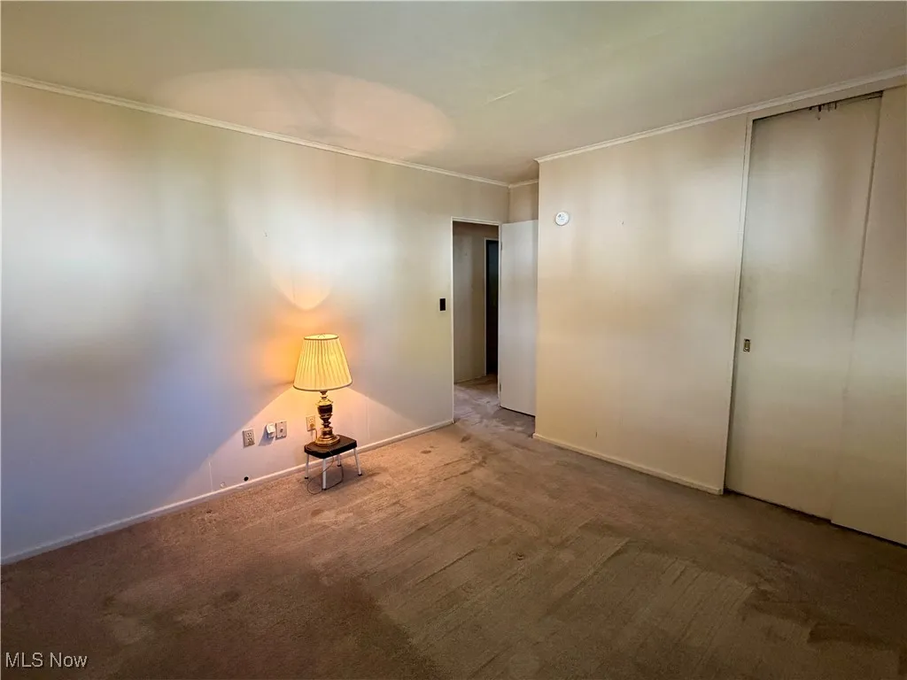 Carpeted spare room with ornamental molding and baseboards