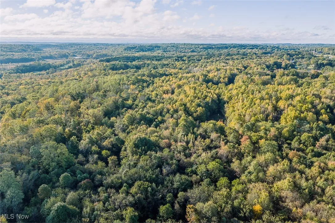 View of property location featuring a heavily wooded area
