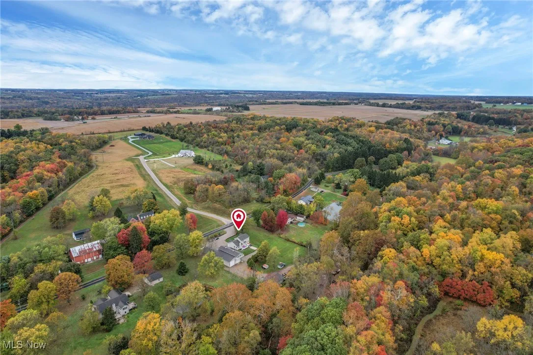 Bird's eye view of a forest