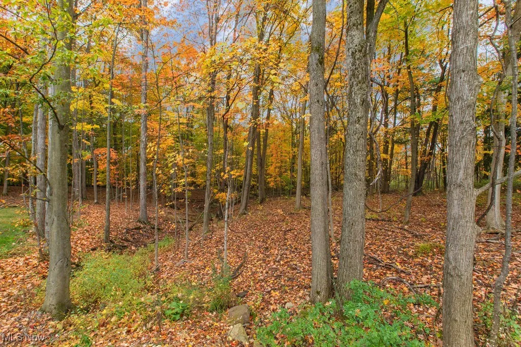 2770 Weeping Pine Drive, Medina, Ohio 44256,MLS Now Listing ID