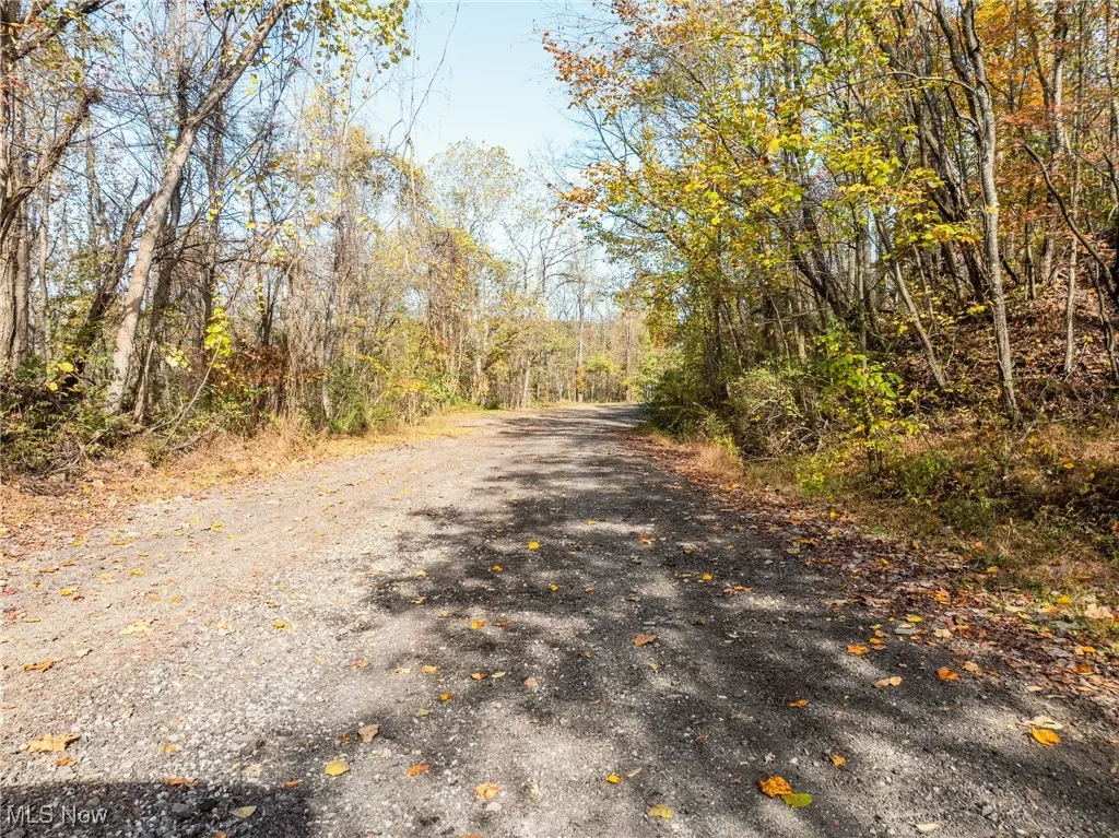 View of road featuring a view of trees