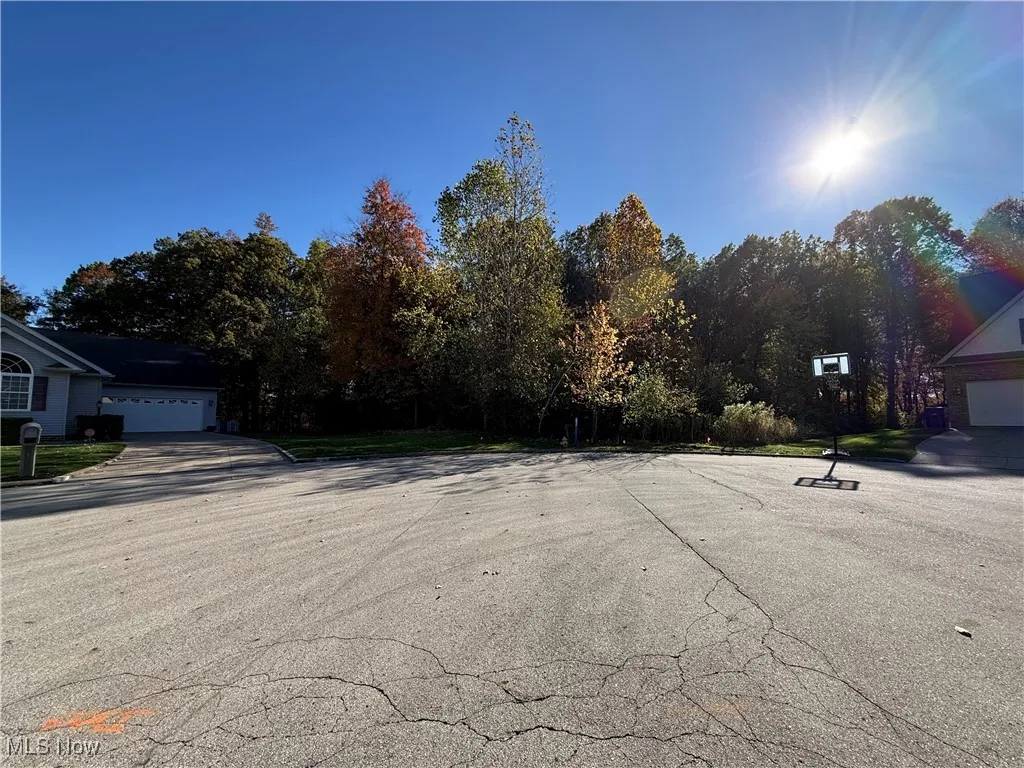 1458 Birch Run Drive, Warren, Ohio 44483,MLS Now Listing ID