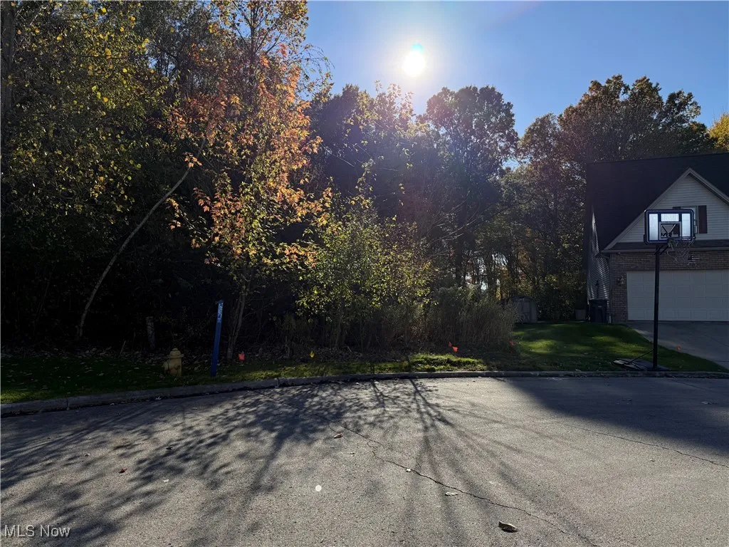 1458 Birch Run Drive, Warren, Ohio 44483,MLS Now Listing ID