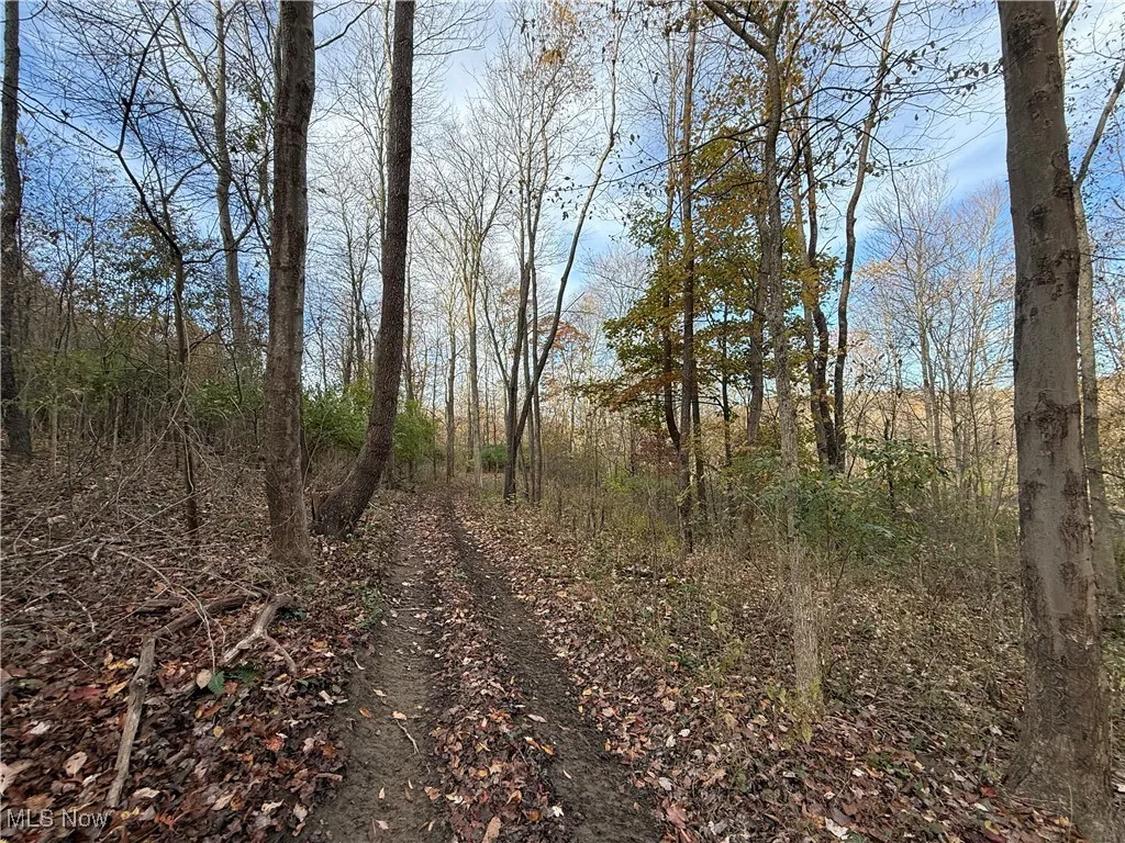 Jewett Scio Road, Jewett, Ohio 43986,MLS Now Listing ID