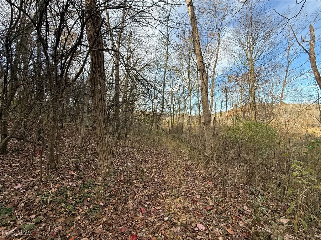 Jewett Scio Road, Jewett, Ohio 43986,MLS Now Listing ID