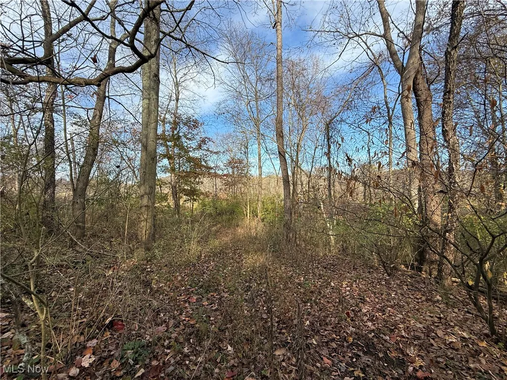 Jewett Scio Road, Jewett, Ohio 43986,MLS Now Listing ID