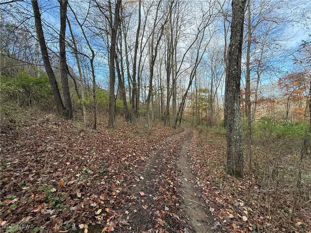 Jewett Scio Road, Jewett, Ohio 43986,MLS Now Listing ID