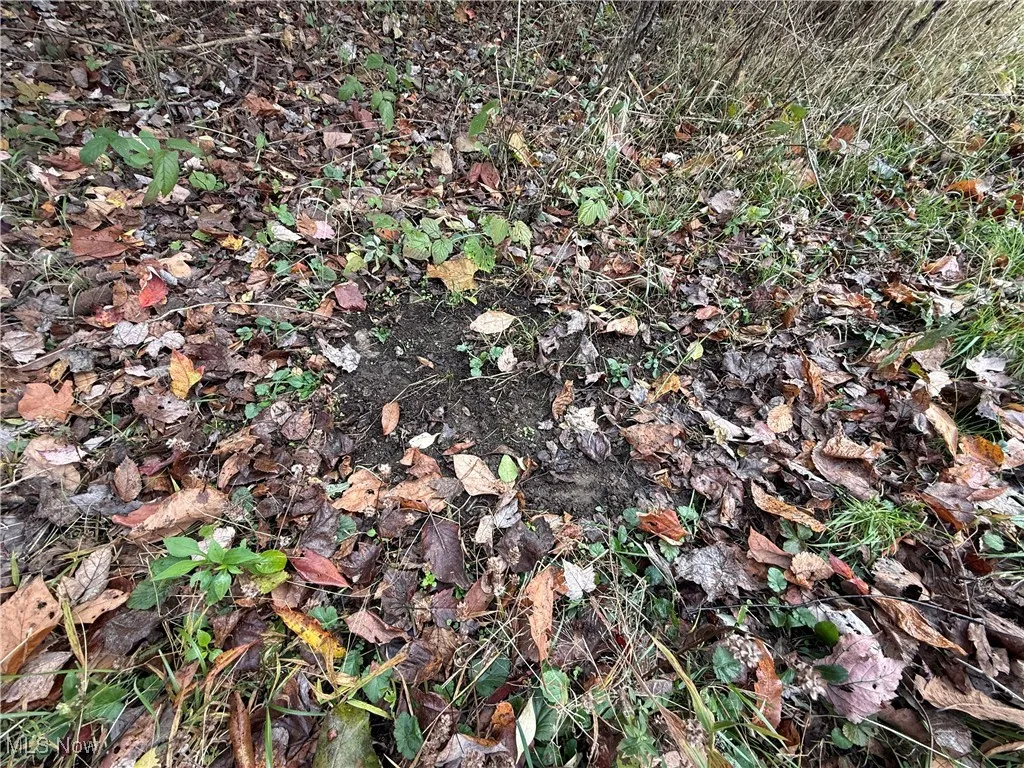 Jewett Scio Road, Jewett, Ohio 43986,MLS Now Listing ID