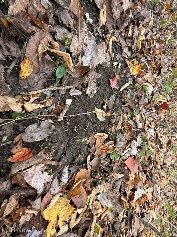 Jewett Scio Road, Jewett, Ohio 43986,MLS Now Listing ID