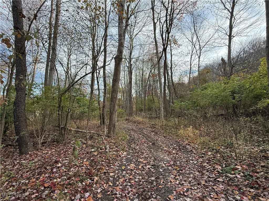 Jewett Scio Road, Jewett, Ohio 43986,MLS Now Listing ID