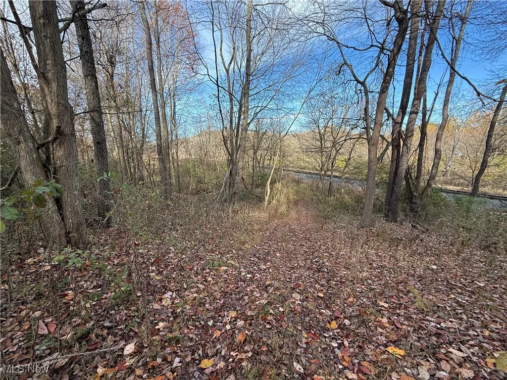 Jewett Scio Road, Jewett, Ohio 43986,MLS Now Listing ID