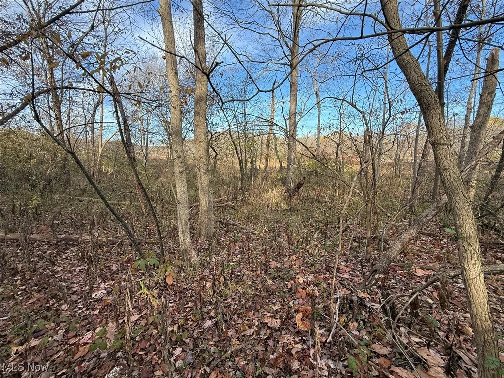 Jewett Scio Road, Jewett, Ohio 43986,MLS Now Listing ID