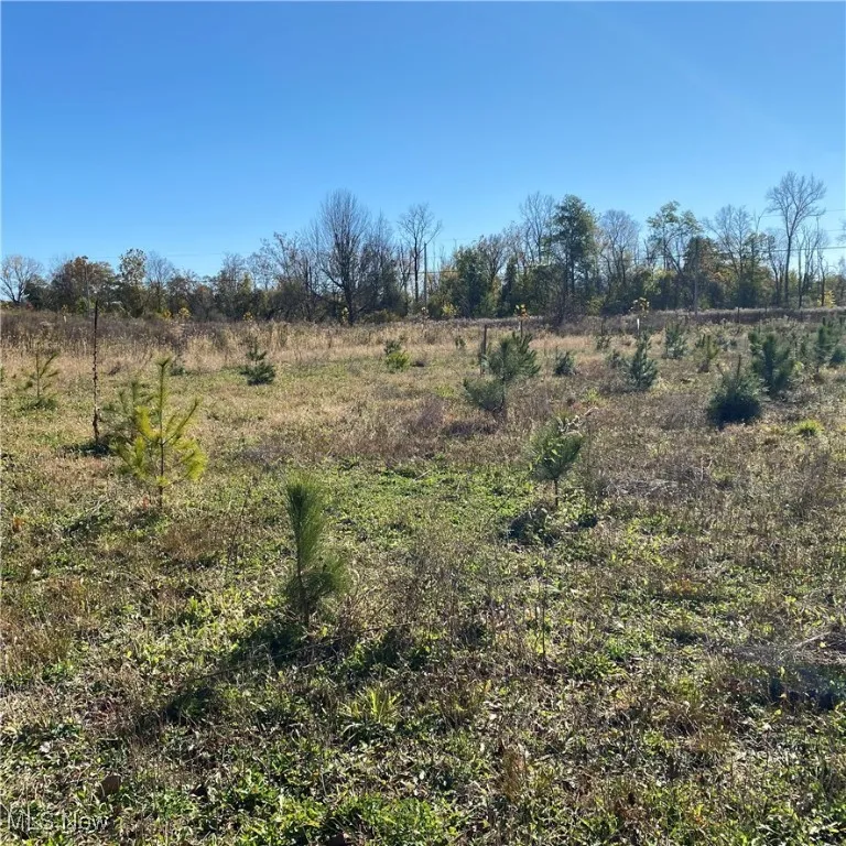 View of woods with a view of countryside